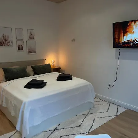 Cozy Blume